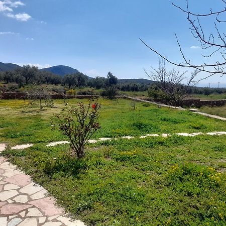 “Villa Othon-Leni” Paralia Demonias Esterno foto