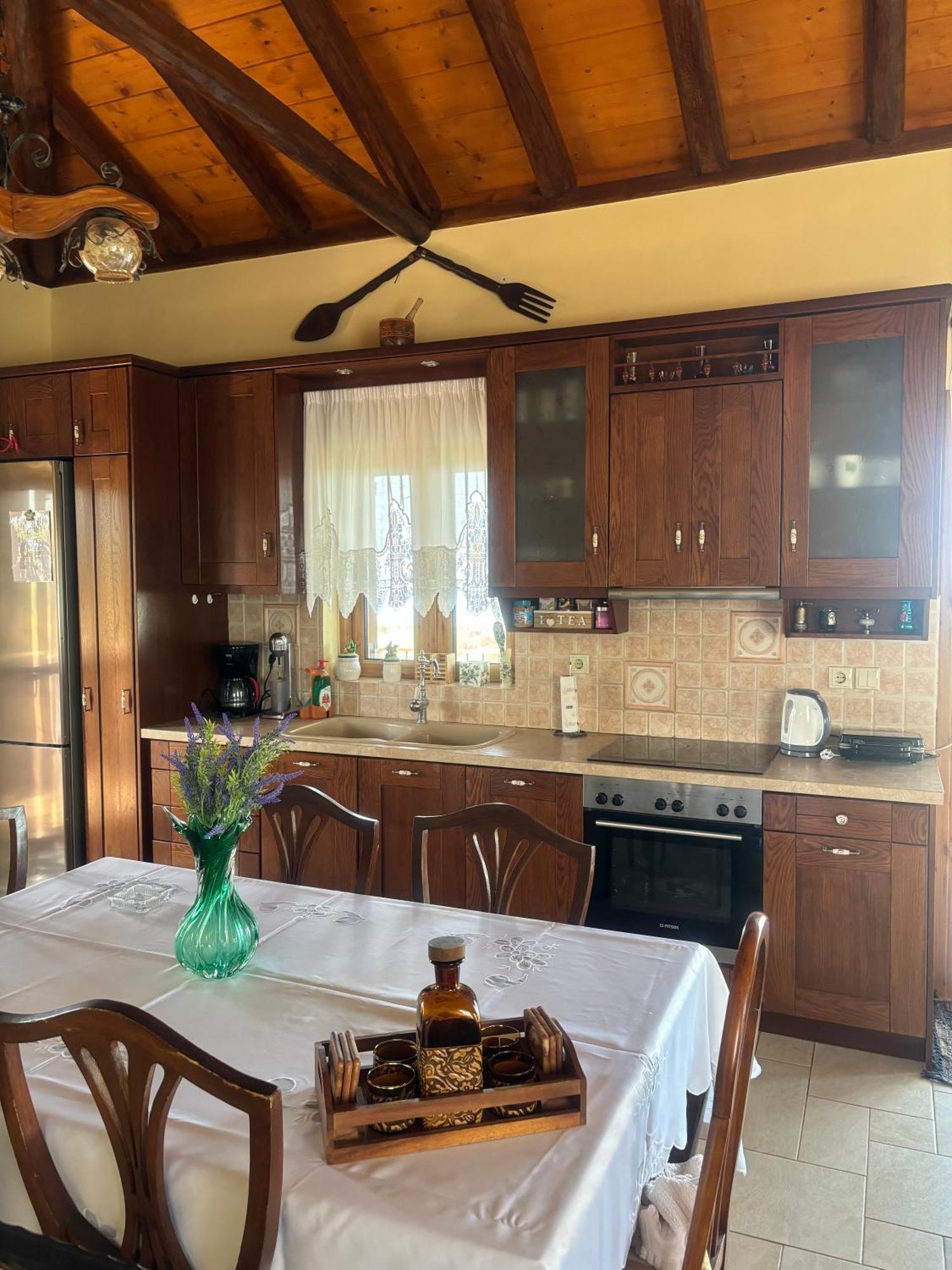 “Villa Othon-Leni” Paralia Demonias Esterno foto