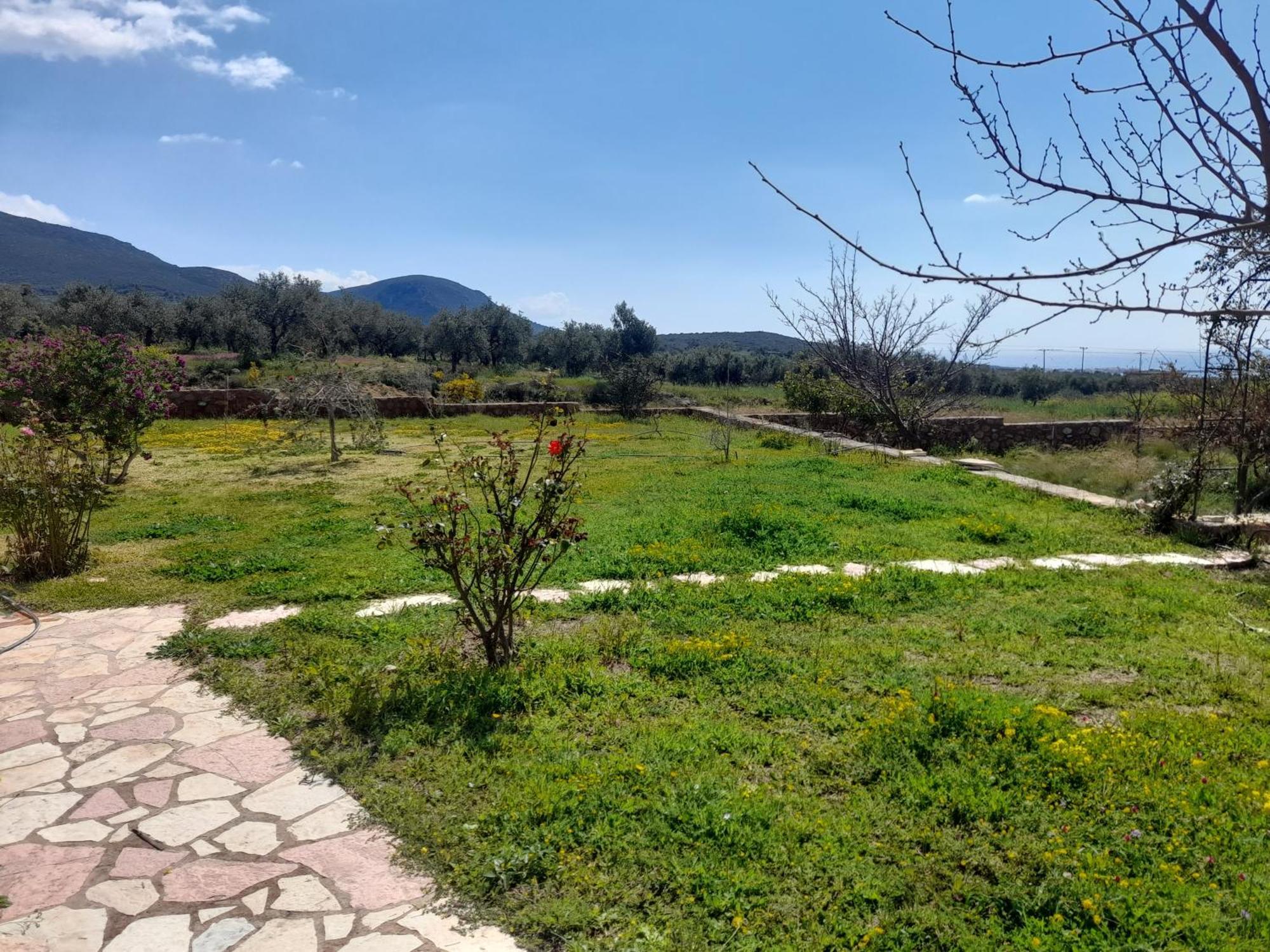 “Villa Othon-Leni” Paralia Demonias Esterno foto