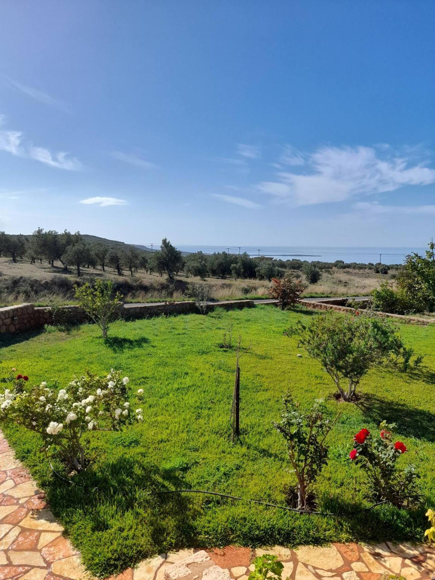 “Villa Othon-Leni” Paralia Demonias Esterno foto