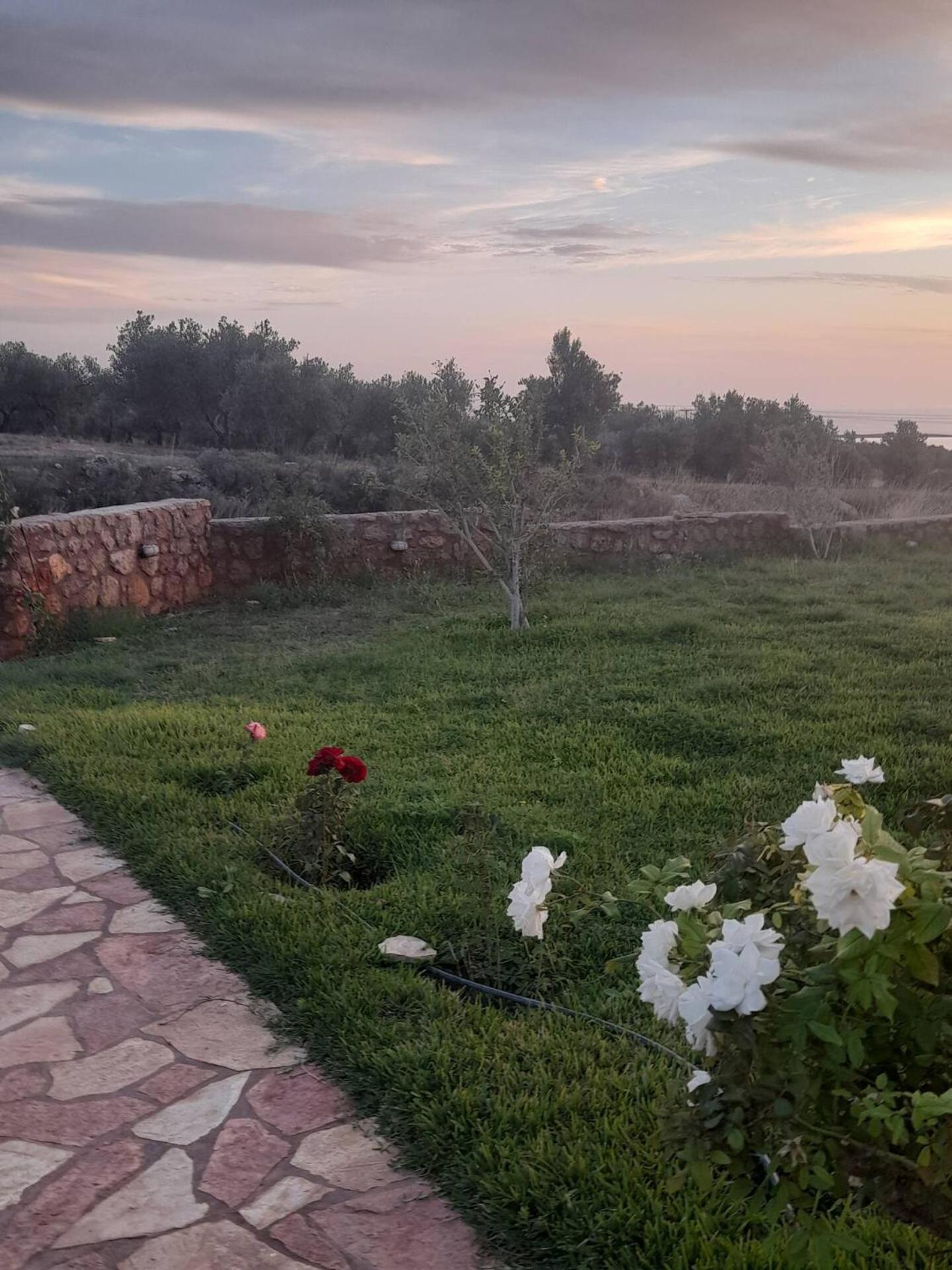 “Villa Othon-Leni” Paralia Demonias Esterno foto