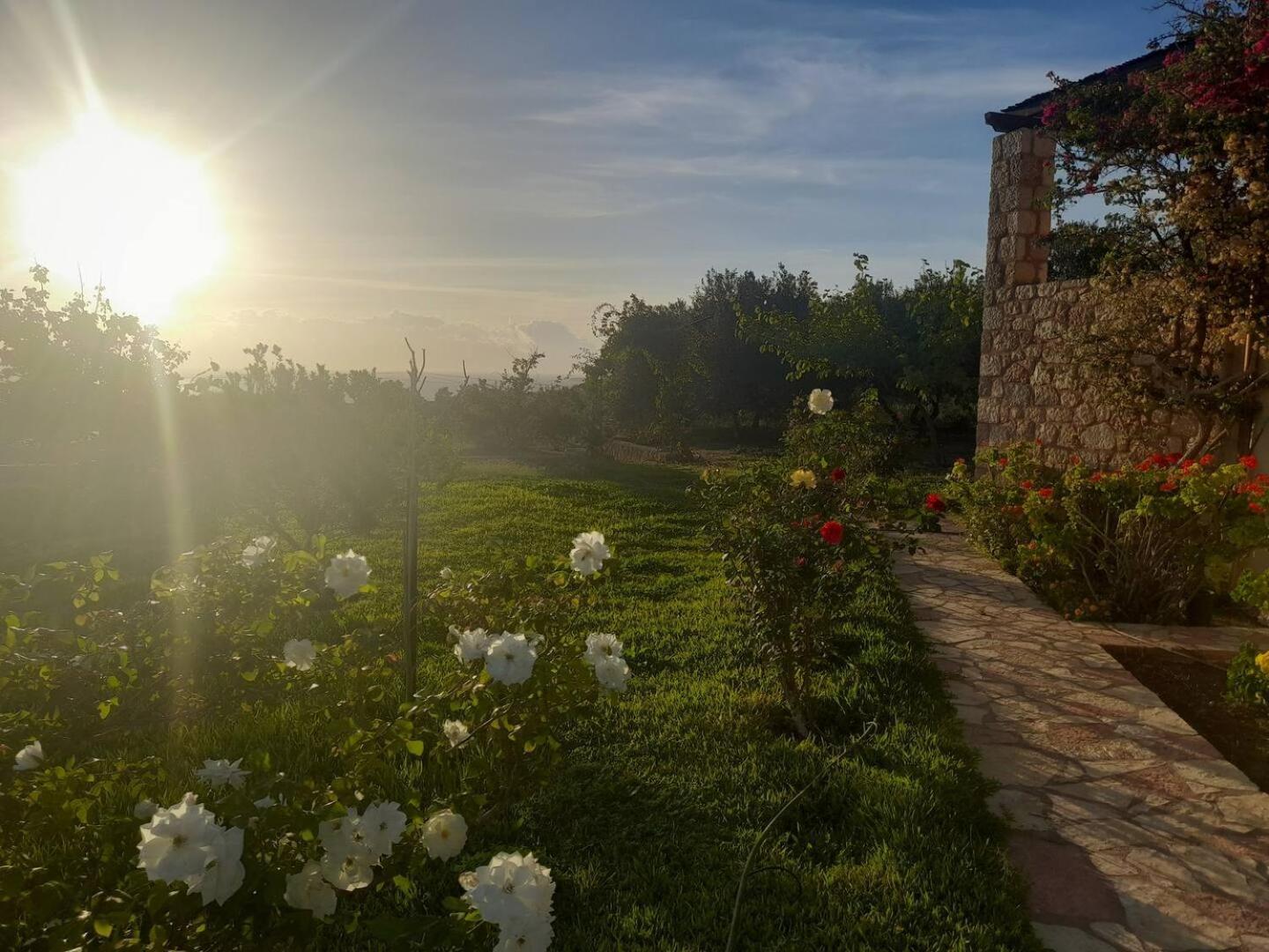 “Villa Othon-Leni” Paralia Demonias Esterno foto